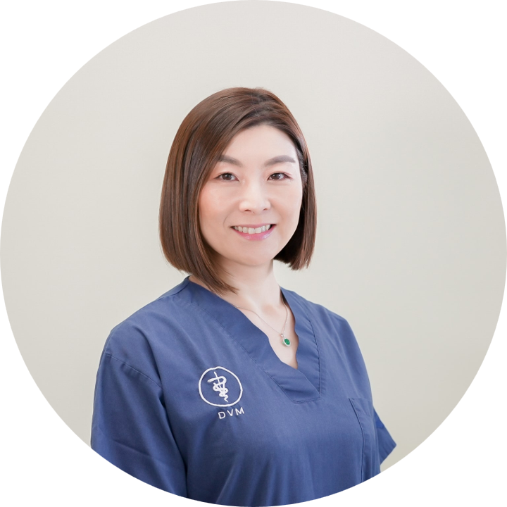 「岩井先生の写真」