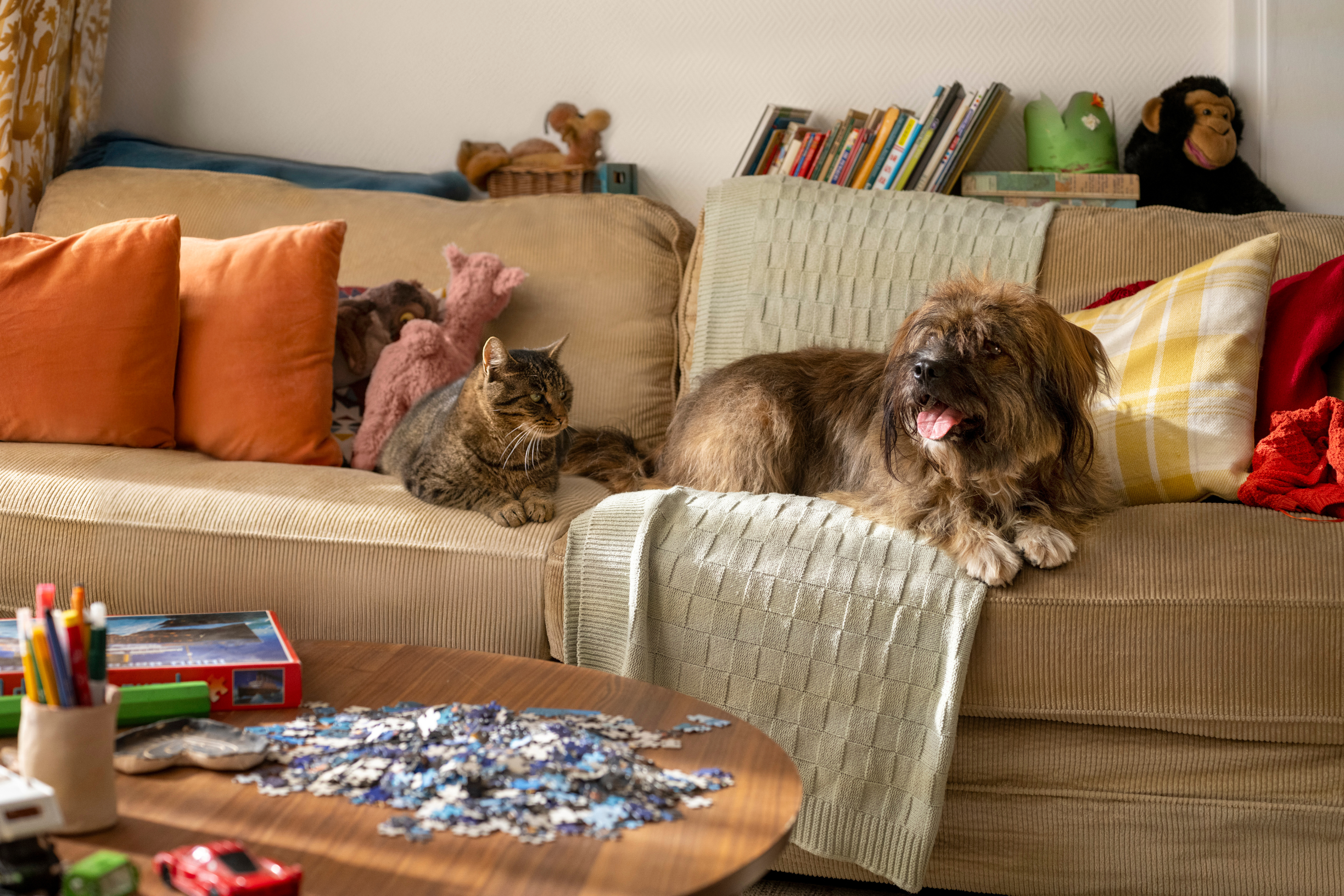 Hill’s Ernährungstipps